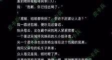 魔法门3（揭秘魔法门3亵渎版的全面攻略及技巧）