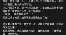 深渊皇子出装攻略大全（玩转深渊皇子，快速提升游戏实力！）