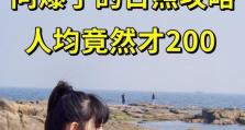 以傻瓜救笨蛋圣诞攻略（用聪明才智化解尴尬，让圣诞节更有趣）