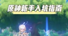 幻境海盗出装顺序攻略（打法技巧、装备选择和进阶思路一网打尽）