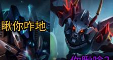 螳螂vs狮子狗（探索最佳出装攻略，带你领略刺激的对战体验）