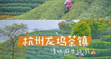 龙武千寻塔攻略（发掘无尽宝藏，突破自我，战胜极限）