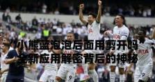 忘仙开古董攻略（解读忘仙开古董的历史背景与珍贵藏品的鉴赏技巧）