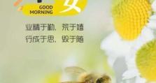 野外冲击战胧出装攻略（精选出装攻略及技巧，助您在野外冲击战中脱颖而出！）