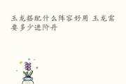 玉龙宝石出装顺序攻略大全（打造最强玉龙宝石出装，从装备顺序开始！）