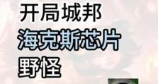 佐伊出装攻略（一起战胜怪兽，成为无敌的魔法使者！）