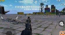 和平精英大狗的称号怎么获得,揭秘和平精英称号获取之路