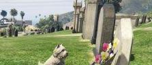 gta5怎么叫小狗,探寻“小狗”的别称奥秘