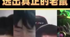 《冒险老鼠出装攻略大全》（从战斗到生存，教你打造绝佳装备！）
