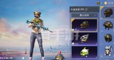 《小熊小丑符文出装攻略》（小熊小丑符文出装攻略详解，助你成为无敌熊战士！）