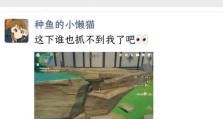 《原神躲猫猫游玩攻略——探索秘密宝藏的乐趣》（一场奇幻冒险，与小伙伴一起寻找躲藏的乐趣）